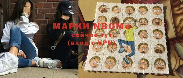 хмурый Козловка