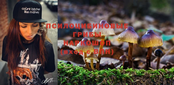 хмурый Козловка